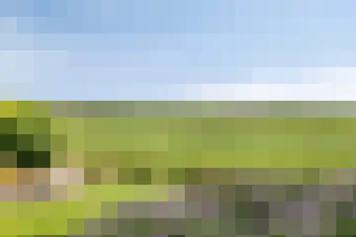 Meyerweg 10 De Knipe thumbnail 43