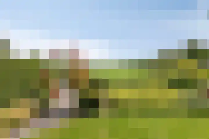Meyerweg 10 De Knipe thumbnail 44