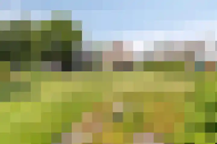 Meyerweg 10 De Knipe thumbnail 45