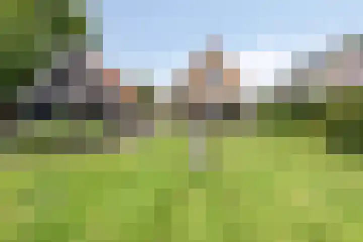 Meyerweg 10 De Knipe thumbnail 46