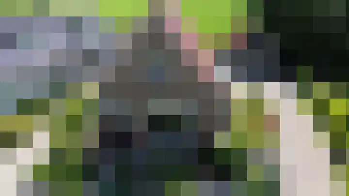 Meyerweg 10 De Knipe thumbnail 47