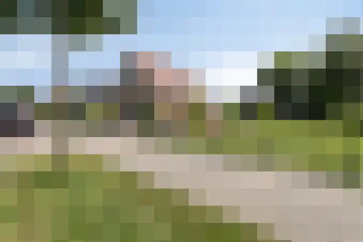 Meyerweg 10 De Knipe thumbnail 5