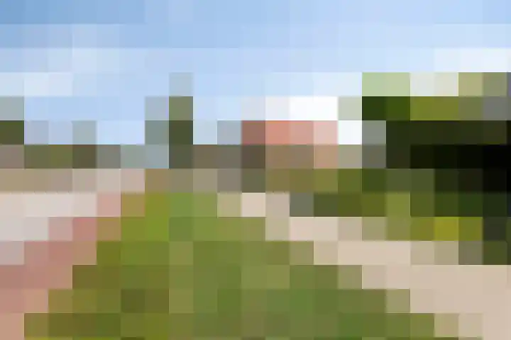 Meyerweg 10 De Knipe thumbnail 7