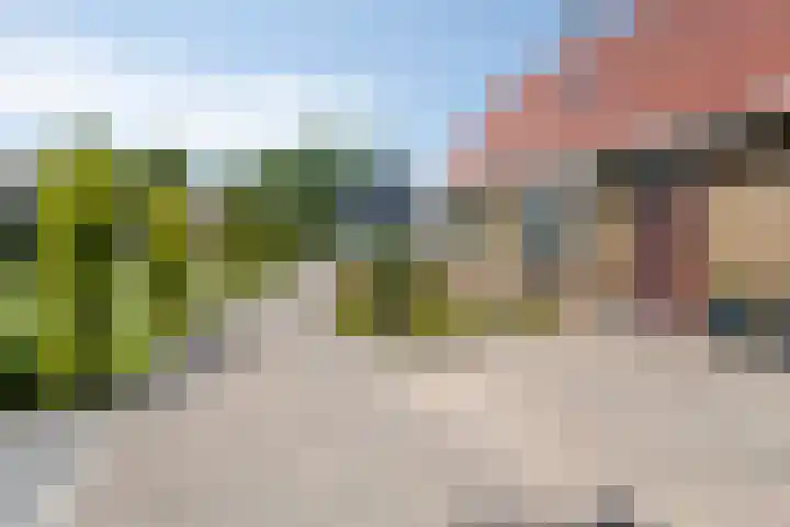 Meyerweg 10 De Knipe thumbnail 8
