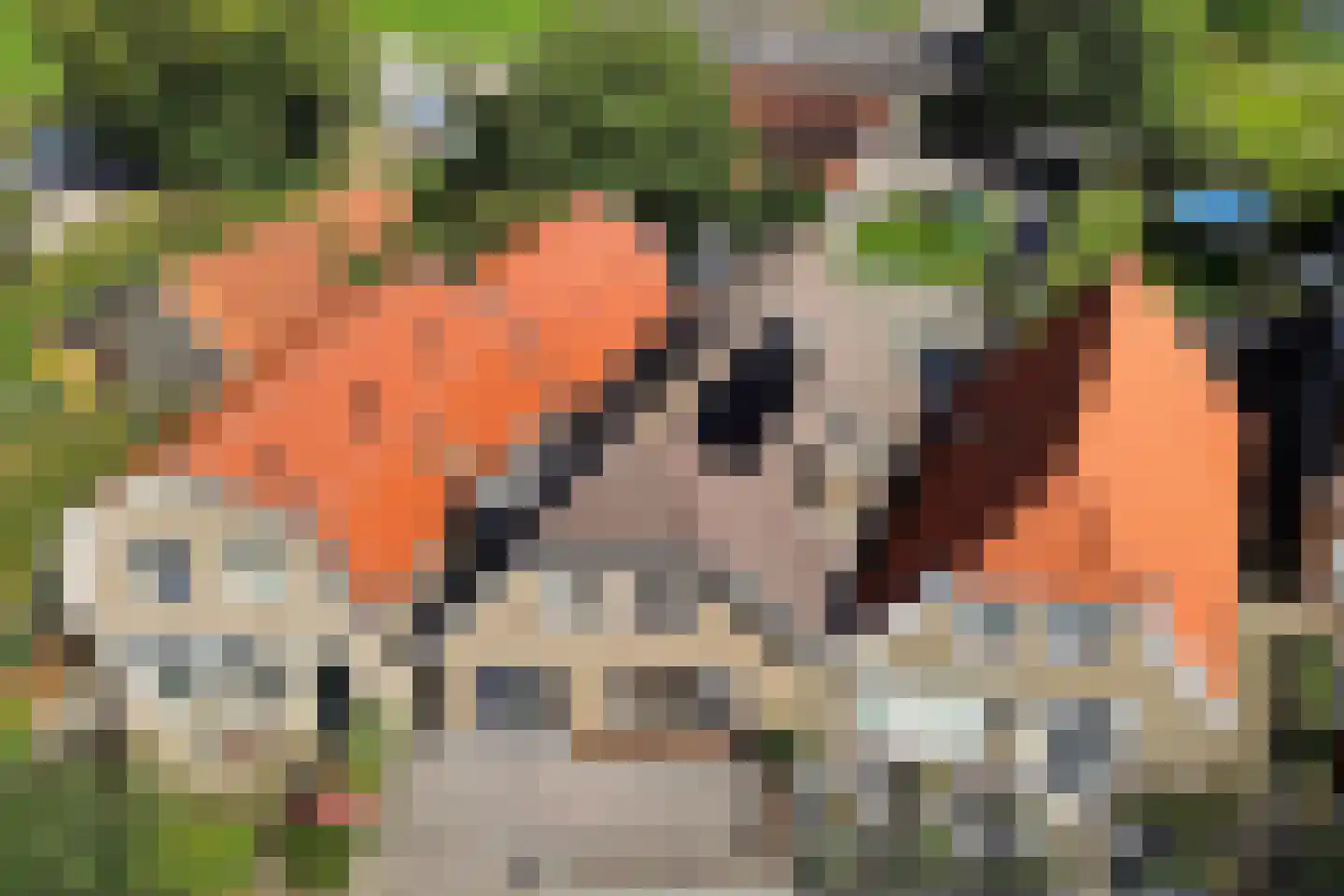 Meyerweg 103 De Knipe thumbnail 42