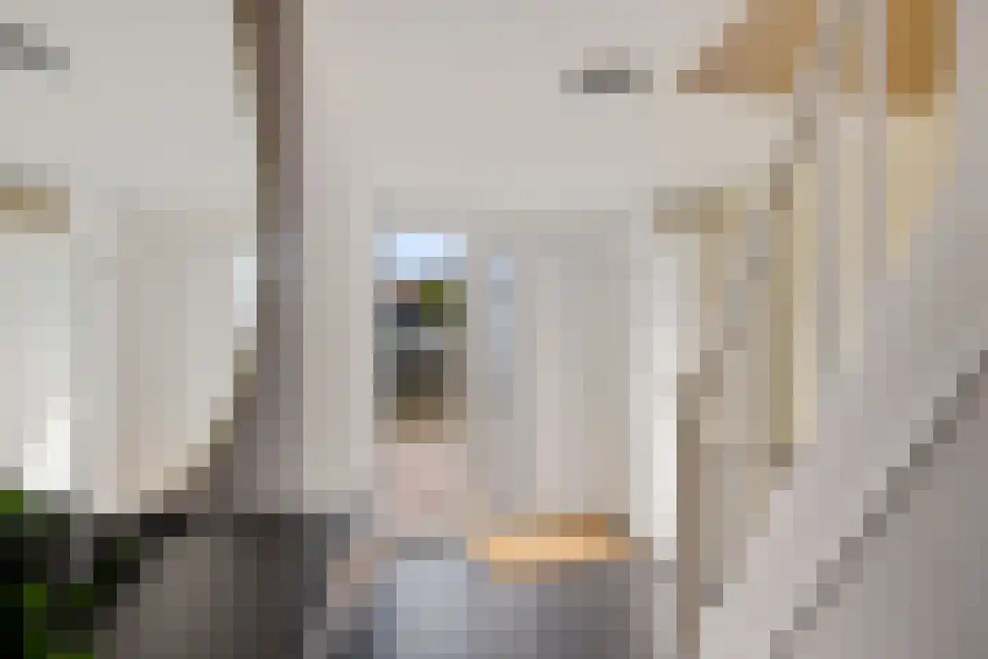 Meyerweg 103 De Knipe thumbnail 8
