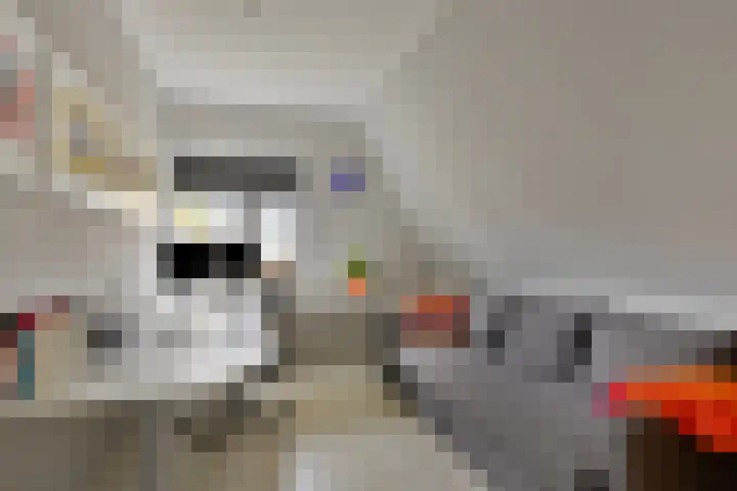 Meyerweg 116 De Knipe thumbnail 25