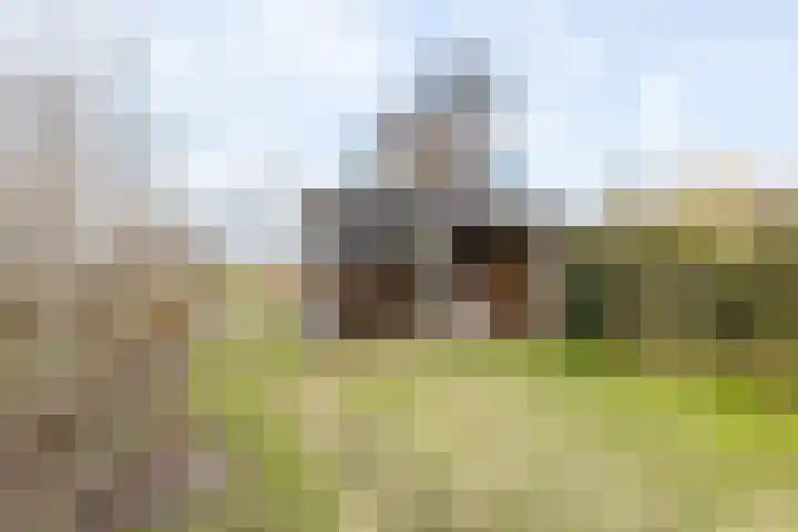 Meyerweg 13 De Knipe thumbnail 14
