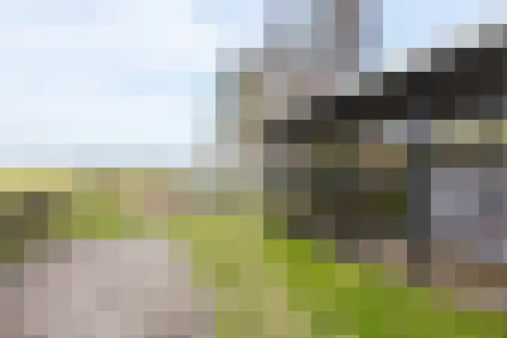 Meyerweg 13 De Knipe thumbnail 16