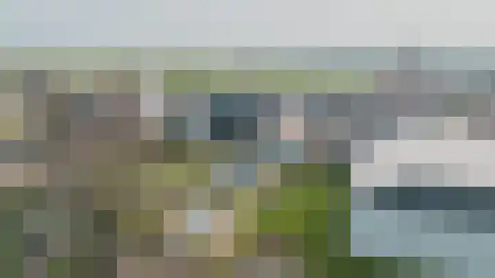 Meyerweg 13 De Knipe thumbnail 19