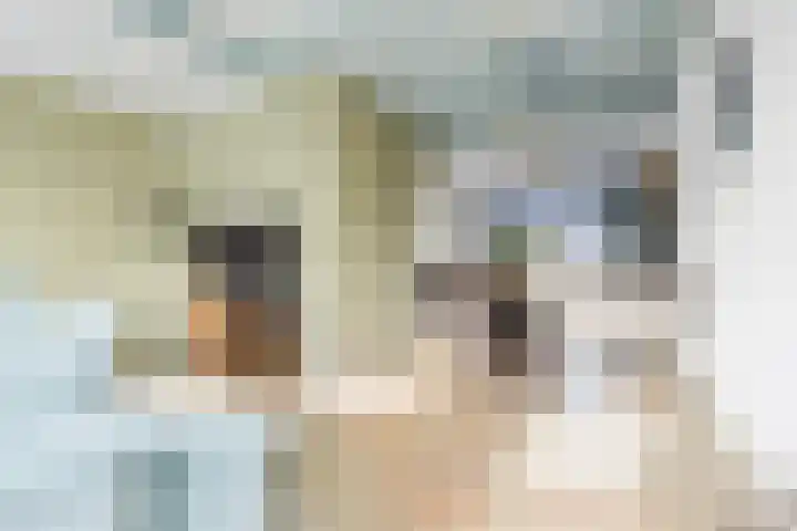 Meyerweg 13 De Knipe thumbnail 23