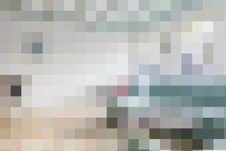 Meyerweg 13 De Knipe thumbnail 24