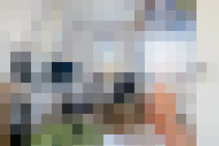 Meyerweg 13 De Knipe thumbnail 38