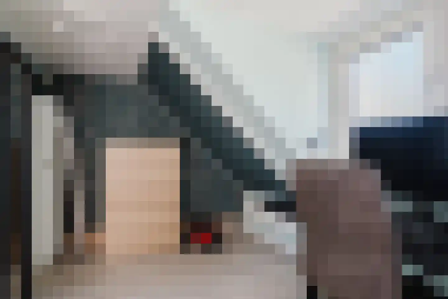 Meyerweg 36 De Knipe thumbnail 27