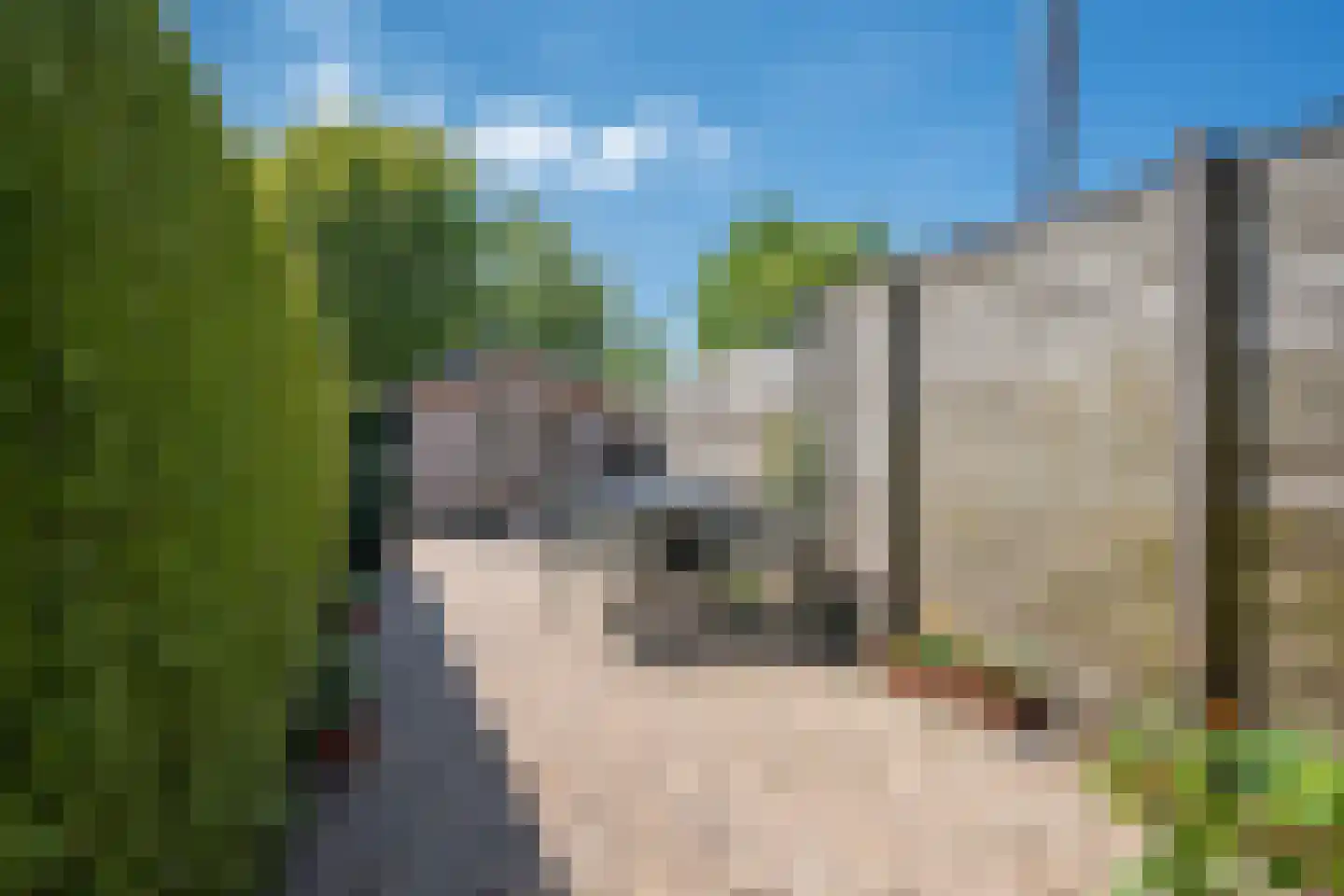 Meyerweg 36 De Knipe thumbnail 31