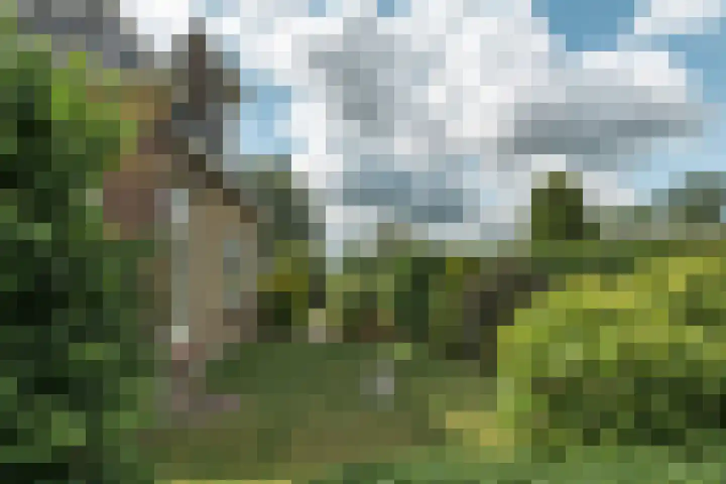 Meyerweg 42 De Knipe thumbnail 26