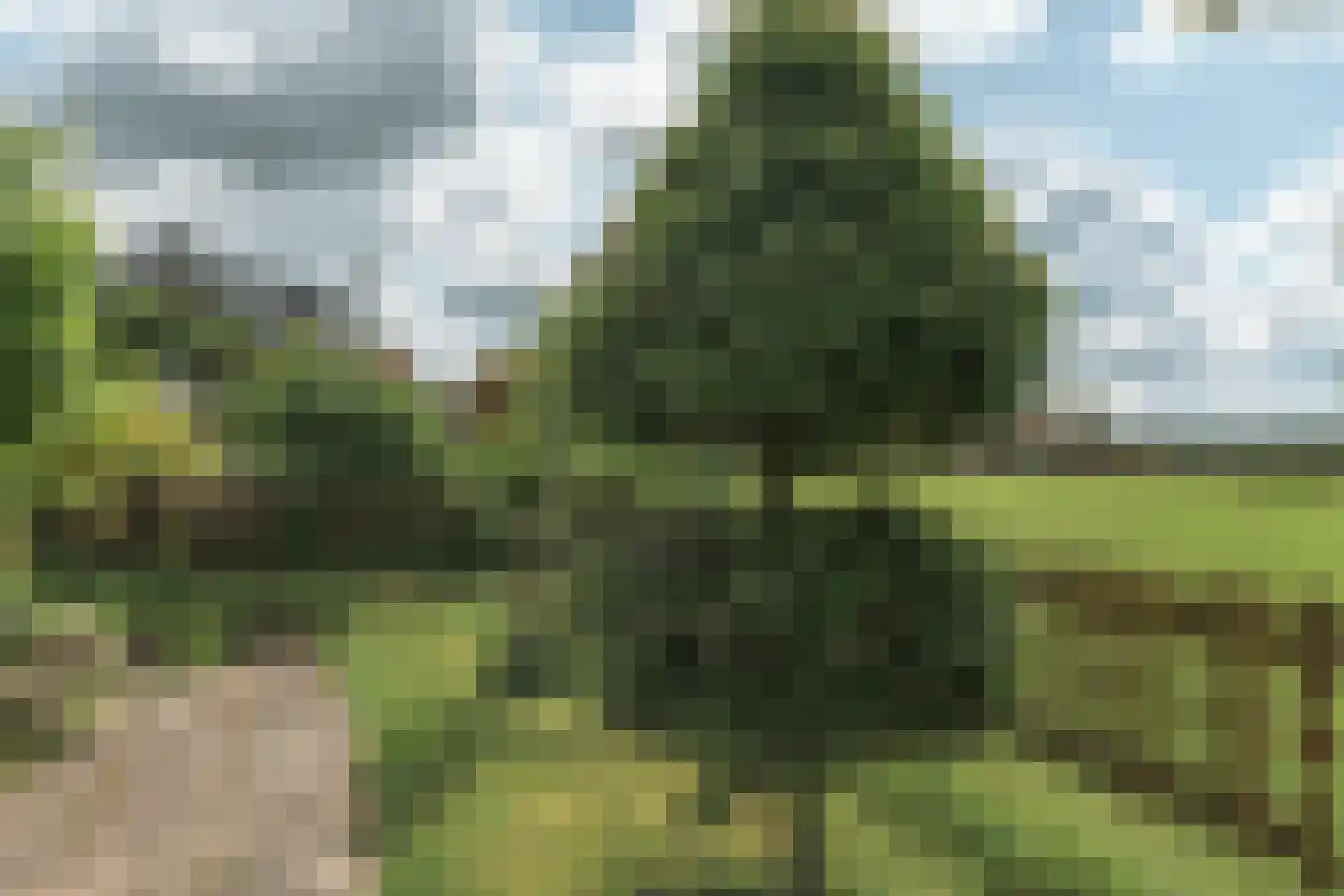 Meyerweg 42 De Knipe thumbnail 27