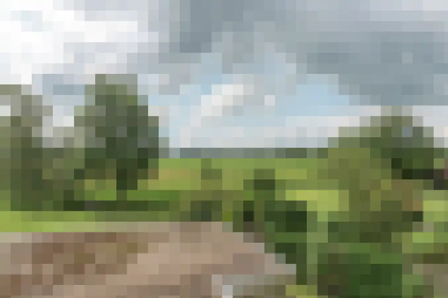 Meyerweg 42 De Knipe thumbnail 29