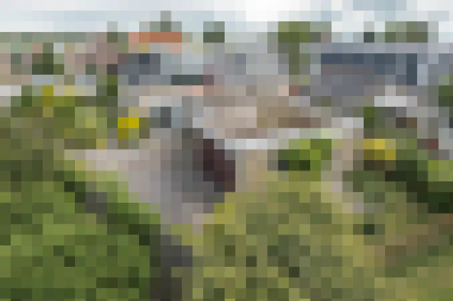 Meyerweg 42 De Knipe thumbnail 30