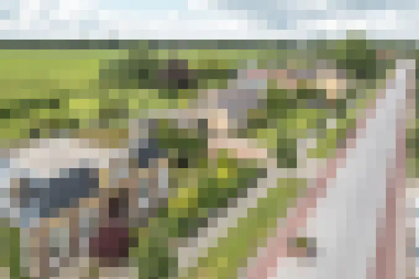 Meyerweg 42 De Knipe thumbnail 38