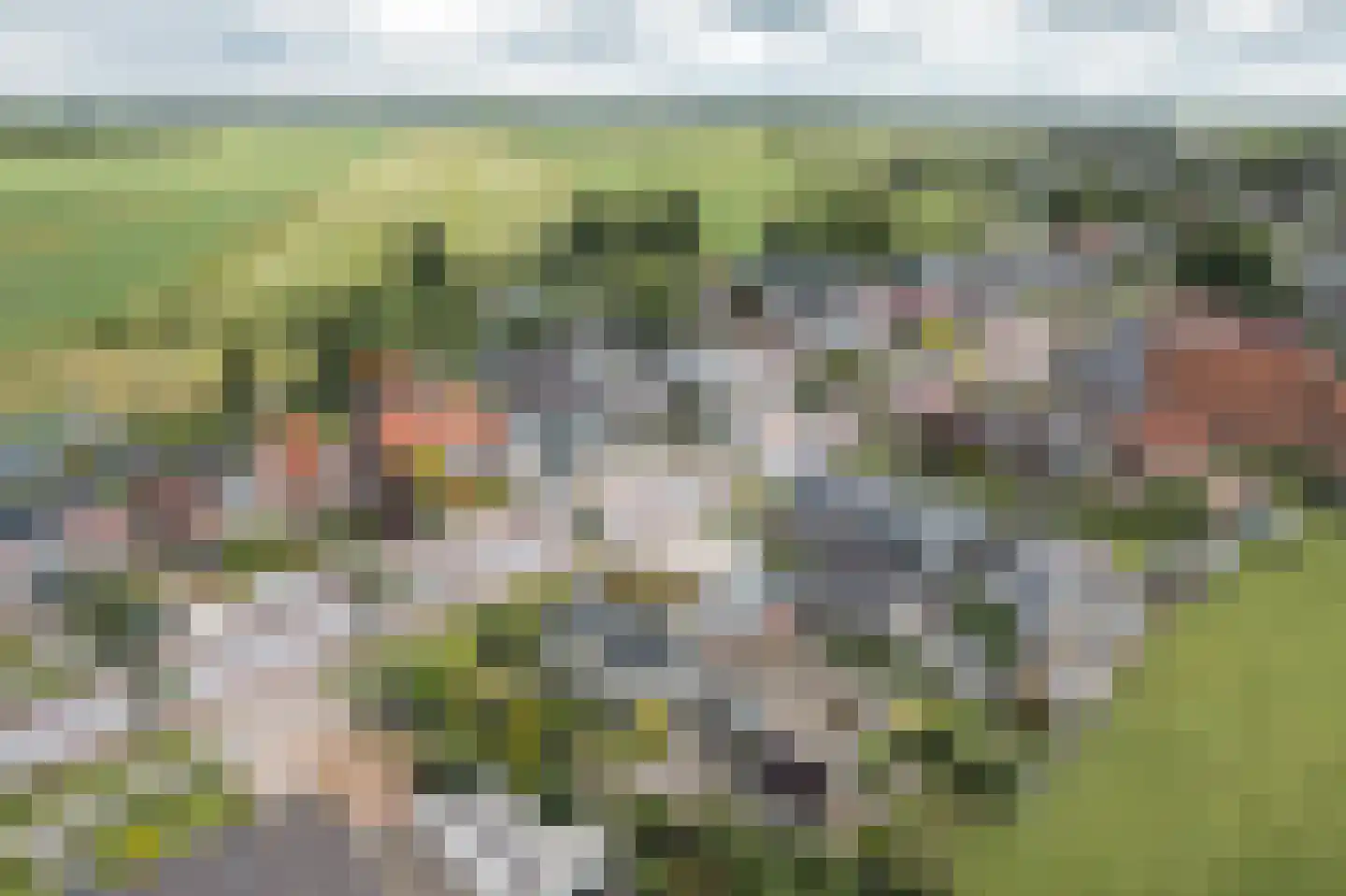 Meyerweg 42 De Knipe thumbnail 39