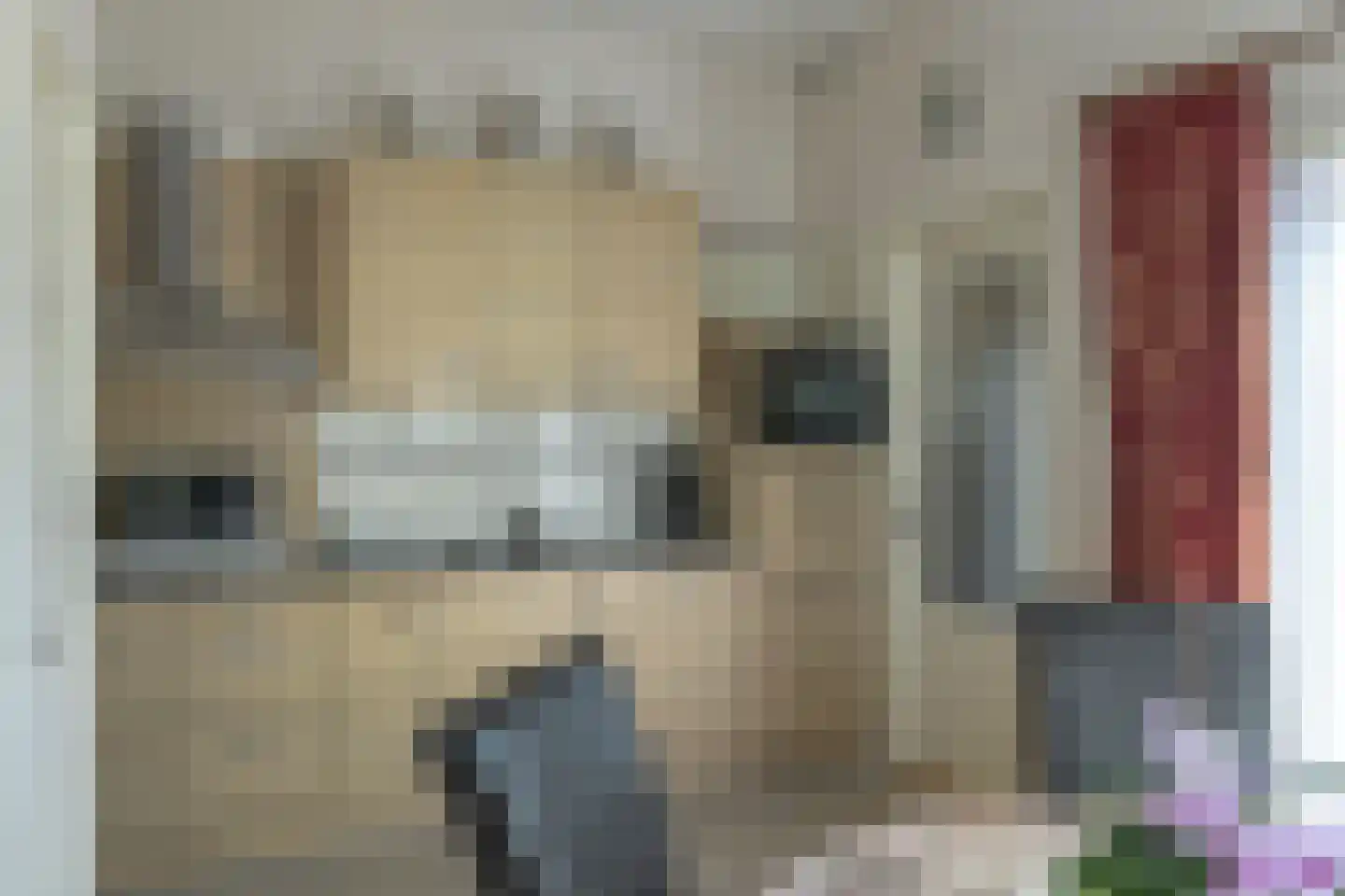 Meyerweg 42 De Knipe thumbnail 8