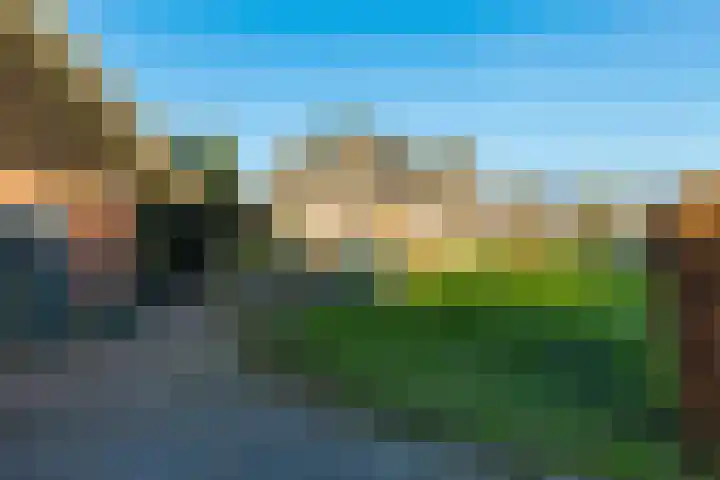 Meyerweg 90 De Knipe thumbnail 36