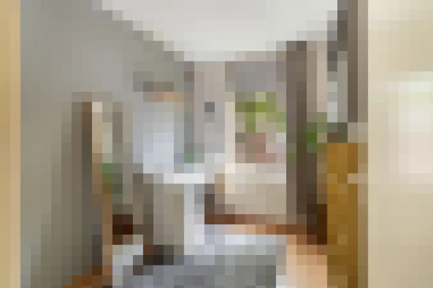 Meynertzhagenstraat 5 Wateringen thumbnail 21
