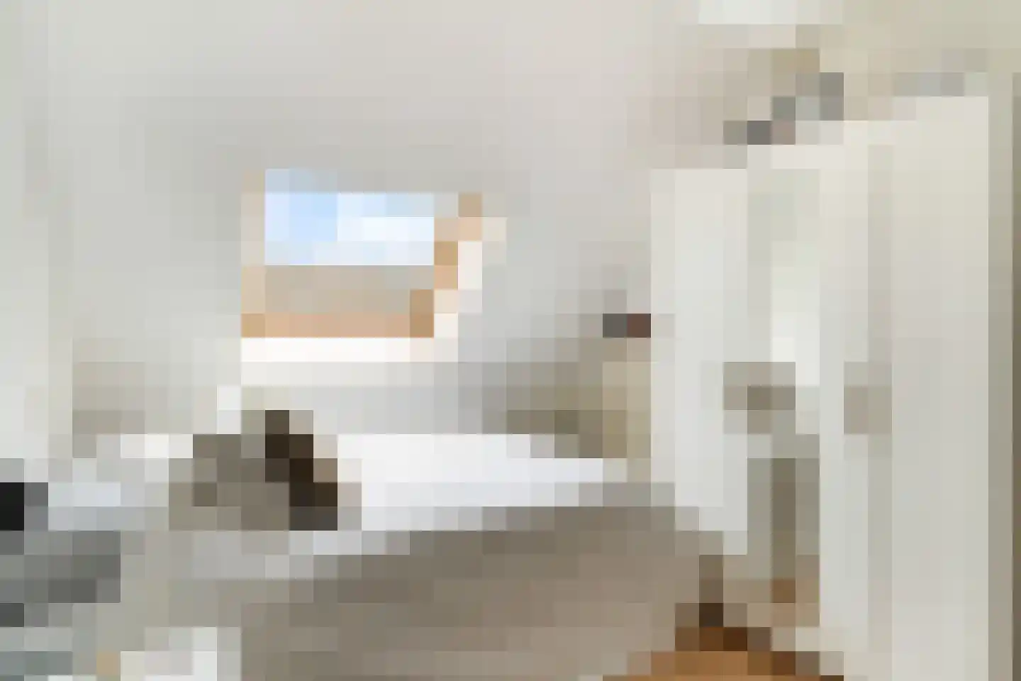 Meynertzhagenstraat 5 Wateringen thumbnail 27