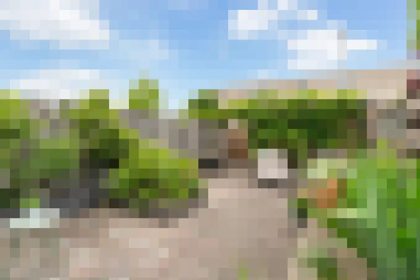 Meynertzhagenstraat 5 Wateringen thumbnail 4