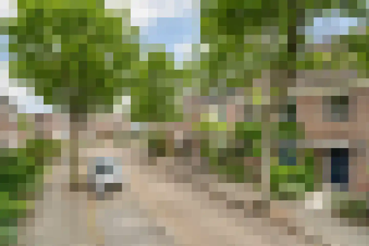 Meynertzhagenstraat 5 Wateringen thumbnail 40