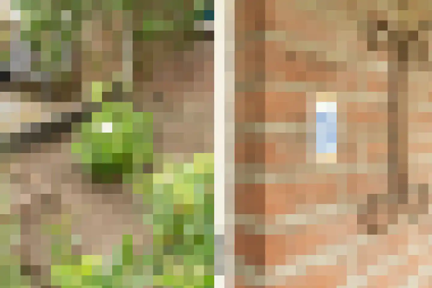 Meynertzhagenstraat 5 Wateringen thumbnail 43