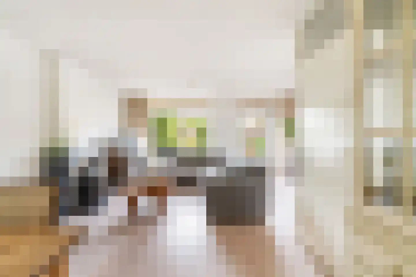 Meynertzhagenstraat 5 Wateringen thumbnail 9