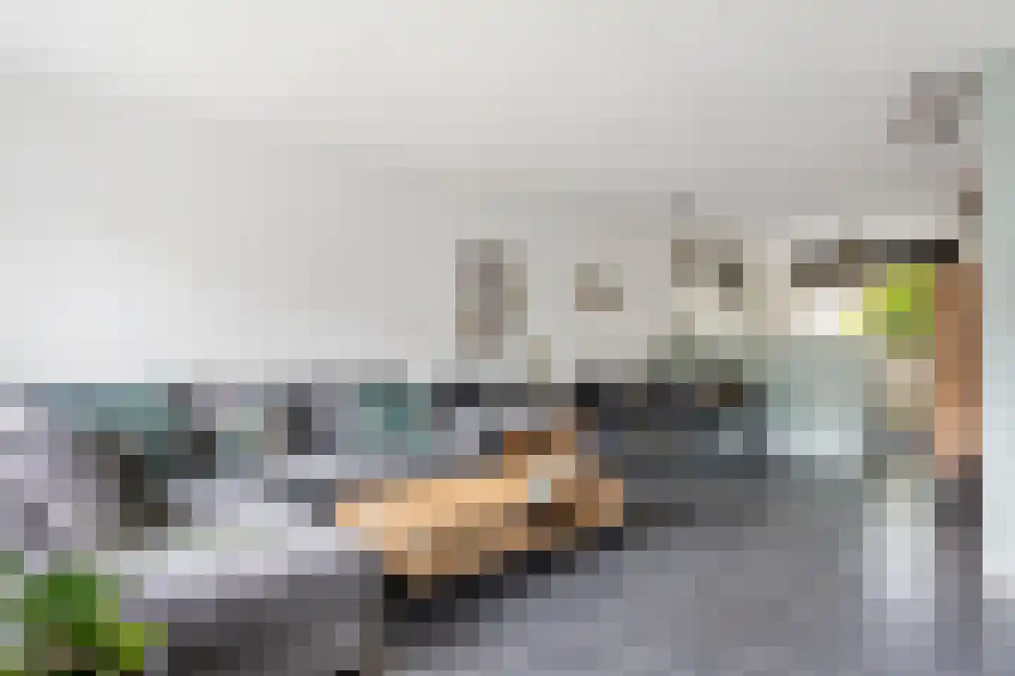 Meynertzhagenstraat 7 Wateringen thumbnail 11