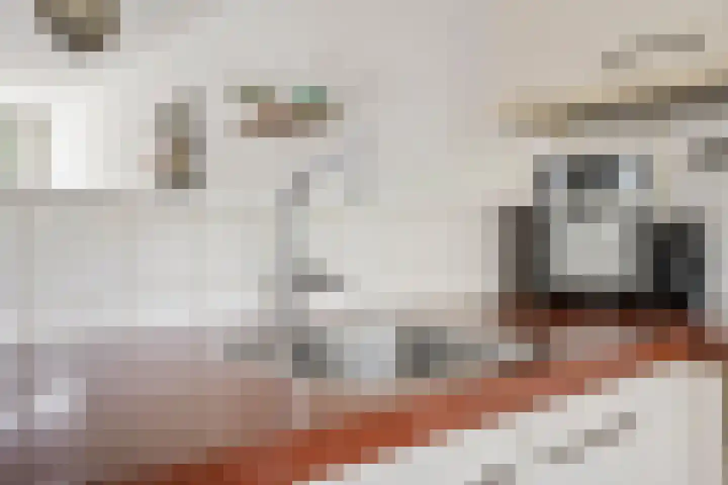 Meynertzhagenstraat 7 Wateringen thumbnail 18