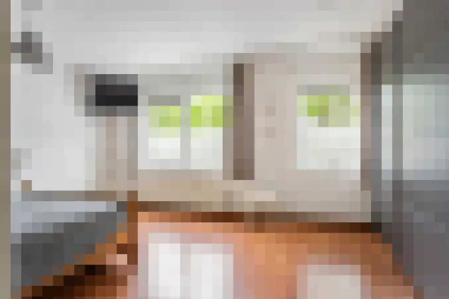 Meynertzhagenstraat 7 Wateringen thumbnail 20