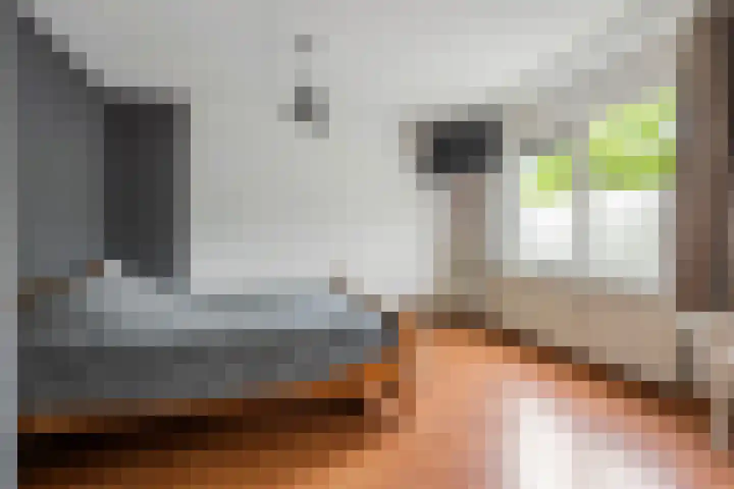 Meynertzhagenstraat 7 Wateringen thumbnail 23
