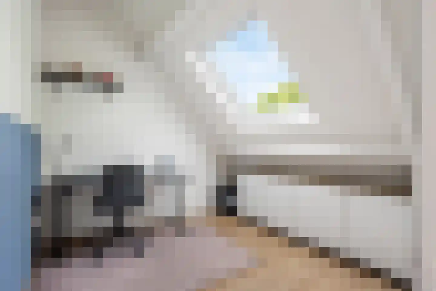 Meynertzhagenstraat 7 Wateringen thumbnail 29
