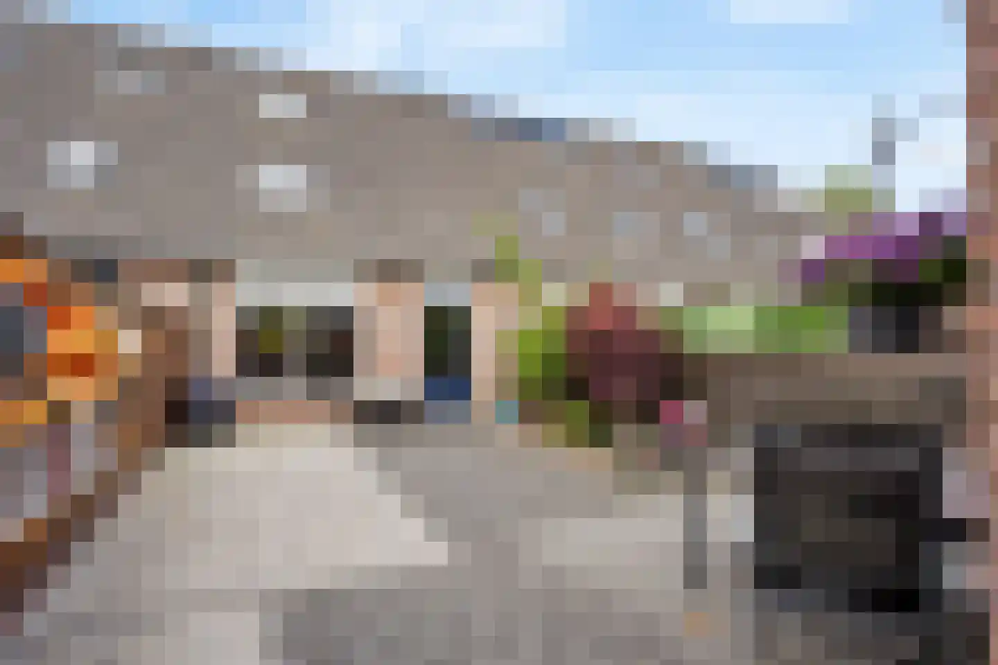 Meynertzhagenstraat 7 Wateringen thumbnail 31