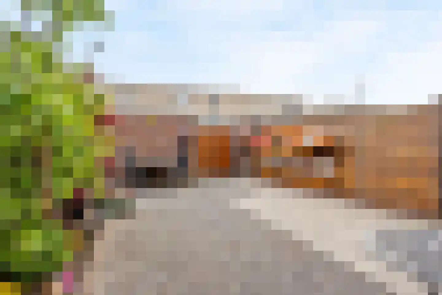 Meynertzhagenstraat 7 Wateringen thumbnail 32