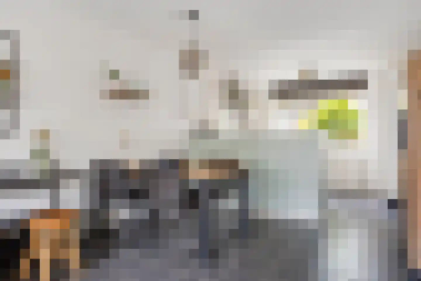 Meynertzhagenstraat 7 Wateringen thumbnail 5