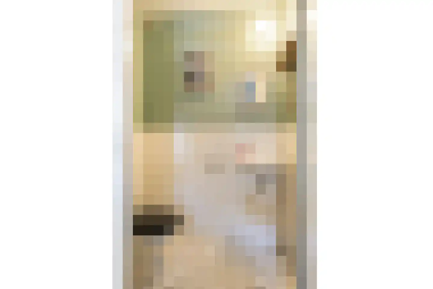 Meynertzhagenstraat 7 Wateringen thumbnail 9