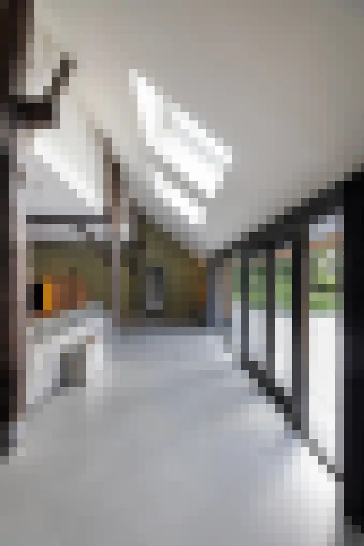 Mezenbergerweg 12 Doornspijk thumbnail 14