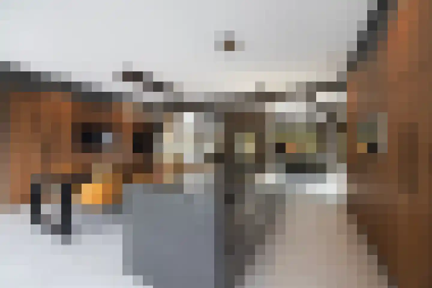 Mezenbergerweg 12 Doornspijk thumbnail 20
