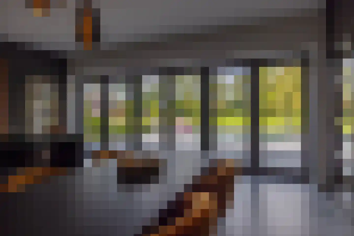 Mezenbergerweg 12 Doornspijk thumbnail 22