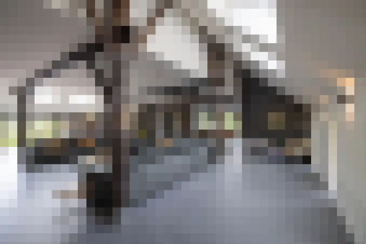 Mezenbergerweg 12 Doornspijk thumbnail 25