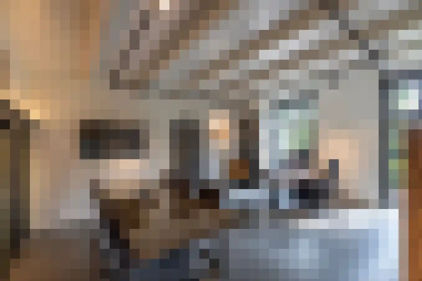 Mezenbergerweg 12 Doornspijk thumbnail 26