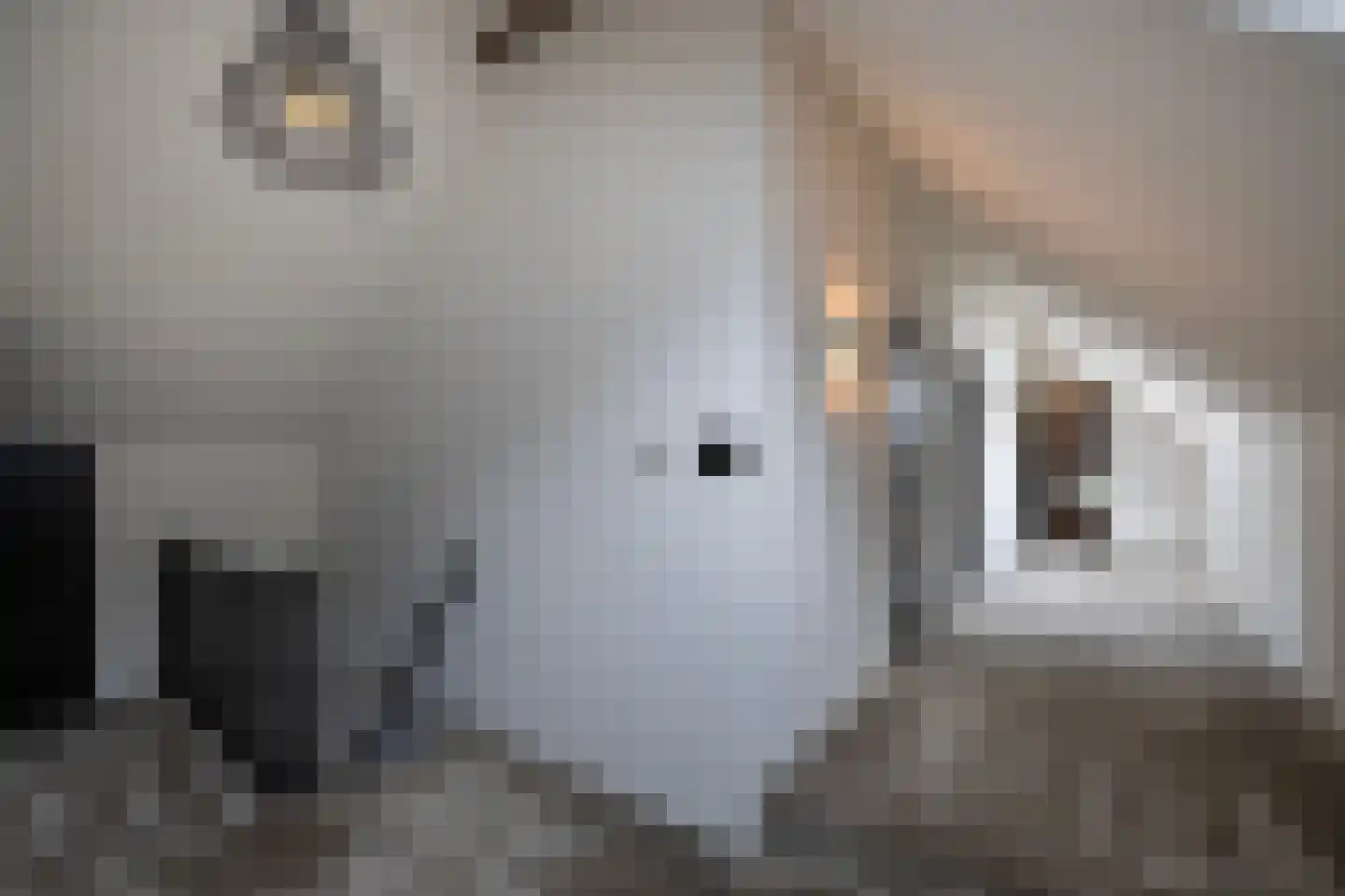 Mezenbergerweg 12 Doornspijk thumbnail 35