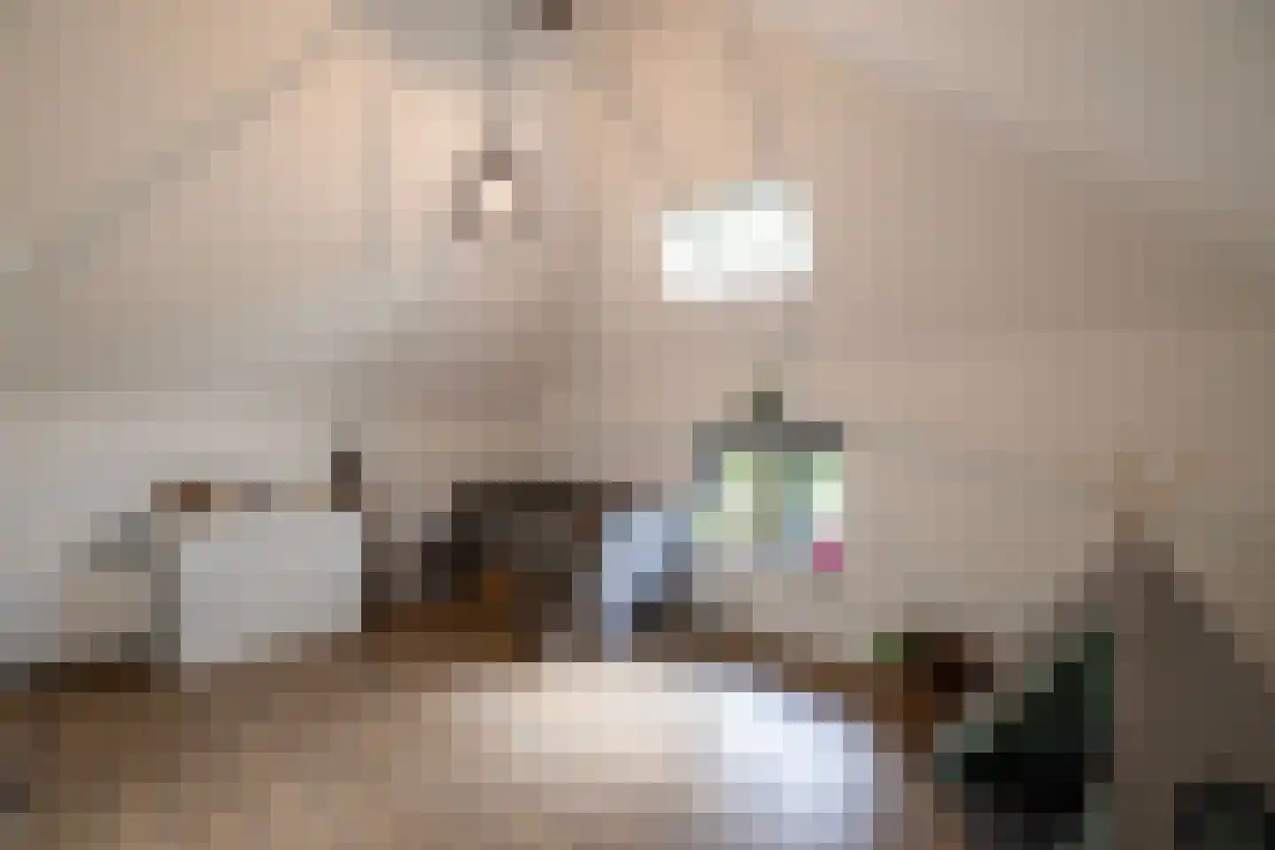 Mezenbergerweg 12 Doornspijk thumbnail 36