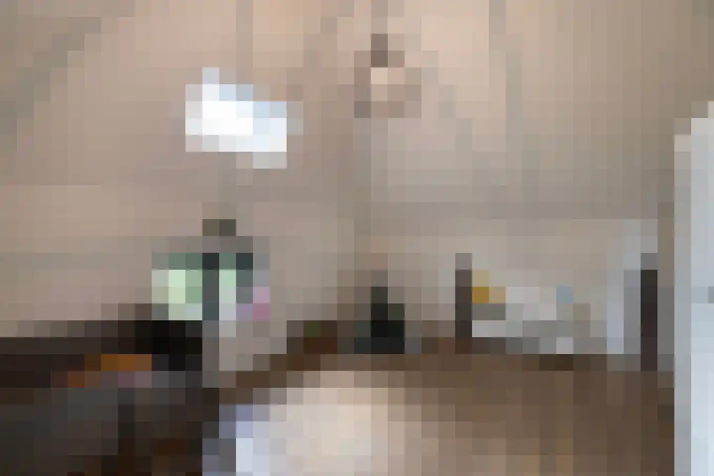 Mezenbergerweg 12 Doornspijk thumbnail 37